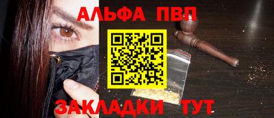 крисы Можга