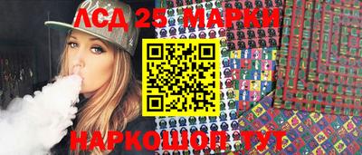 крисы Можга