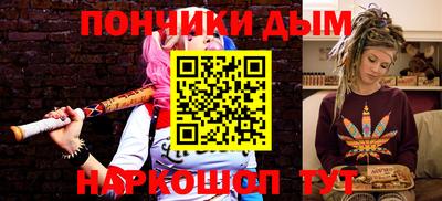 крисы Можга