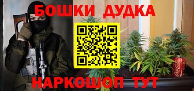 крисы Можга