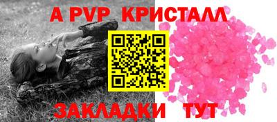 крисы Можга