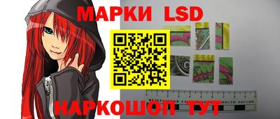 крисы Можга