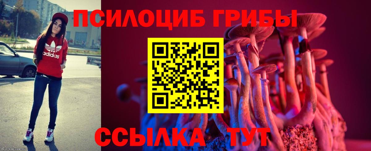 Элиста  сколько стоит  Вход с VPN  Псилоцибиновые грибы Psilocybine cubensis 